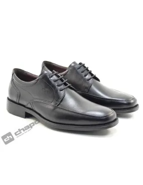 Blucher Negro Fluchos 7995