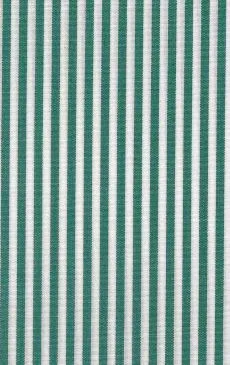 CAMISA MIL RAYAS VERDE Y BLANCO